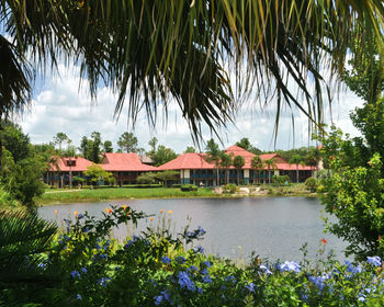 Scenic view of lake by palm trees against sky
