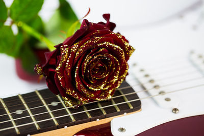 Close-up of rose guitar