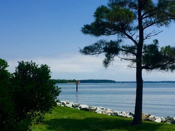 Scenic view of sea against clear sky