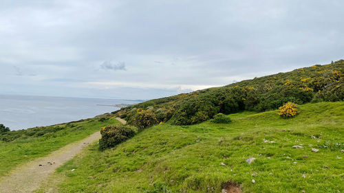 hill