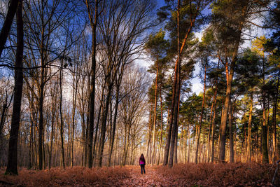 Rear view of woman walking in forest