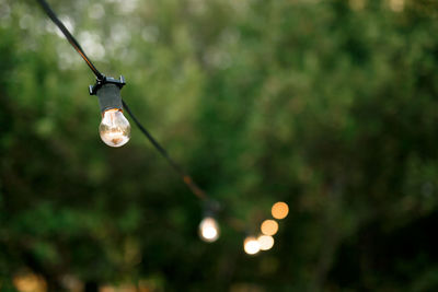 Low angle view of illuminated light bulb