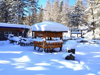 Snow covered landscape against sky