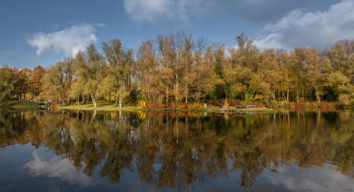 Scenic view of lake by trees against sky