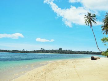 Scenic view of beach against blue sky