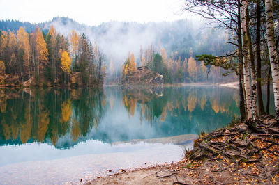 Trees reflecting on calm lake during autumn