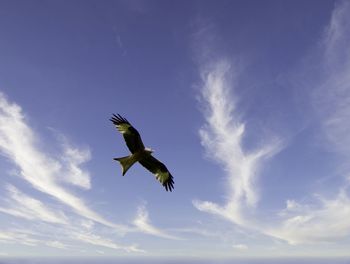sky