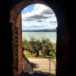 Trees seen through arch window