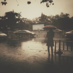 Woman standing on tree trunk