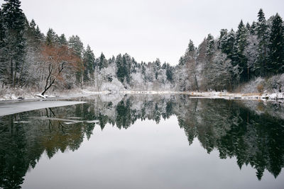 Reflection of trees in lake against sky