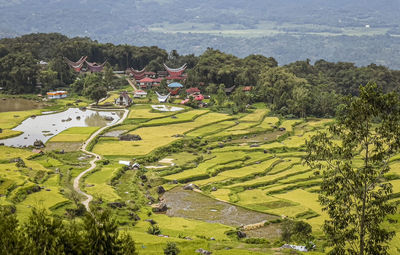 High angle view of agricultural field