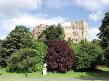 Trees and plants against building