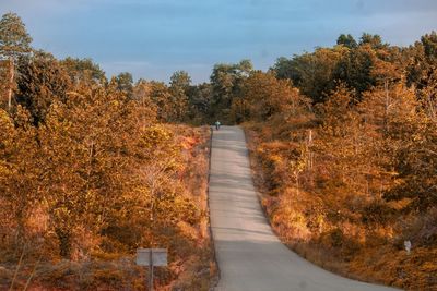 Footpath amidst trees against sky during autumn