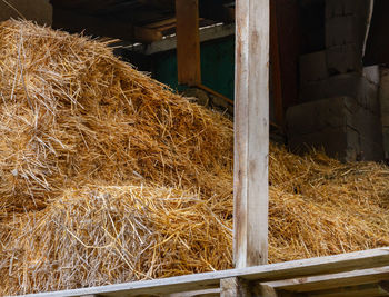 Stack of hay bales in farm