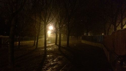 Illuminated street lights at night