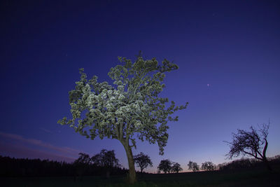 Low angle view of silhouette trees against clear blue sky