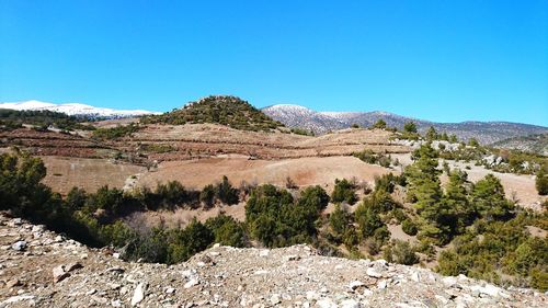 Scenic view of landscape against clear blue sky