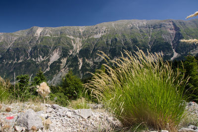 Scenic view of mountain range against sky