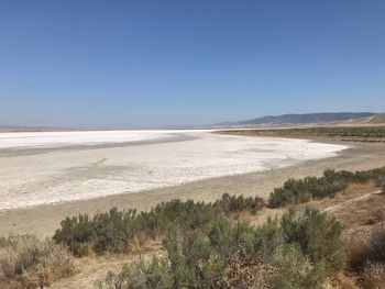 Soda lake, ca. july 2019.