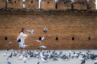 Woman standing amidst birds perching on ground