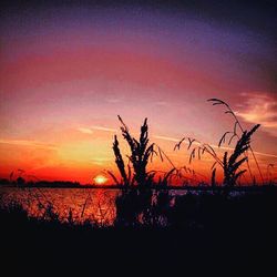 Silhouette of landscape at sunset