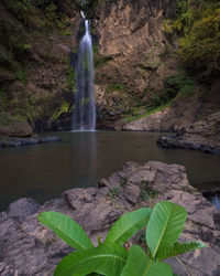 Scenic view of waterfall in forest