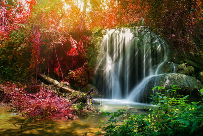 Scenic view of waterfall in forest during autumn