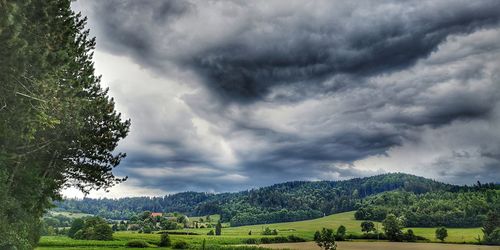 Scenic view of trees on field against sky