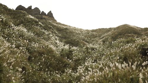 Scenic view of tree mountains against sky