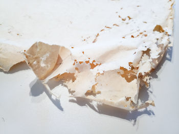 High angle view of ice cream in plate