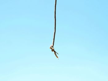 Low angle view of bird flying in sky
