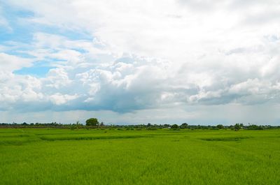 Scenic view of field against cloudy sky