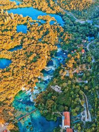 High angle view of plants during autumn