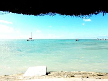 Boats sailing in sea