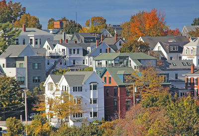 Buildings in town