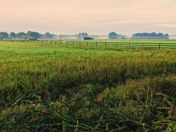 Scenic view of field against sky during sunset