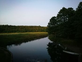 Reflection of trees in water