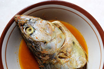 High angle view of fish in bowl