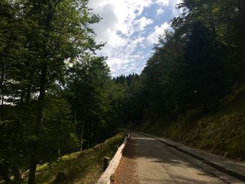 Empty road amidst trees in forest against sky