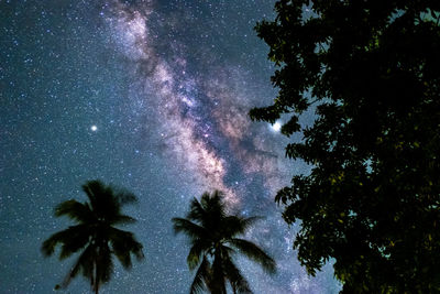 Low angle view of silhouette trees against sky at night