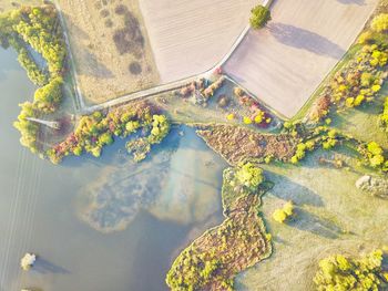 High angle view of plants by lake