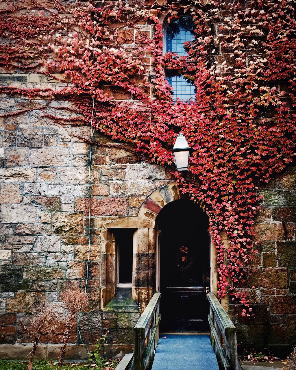 building exterior, architecture, built structure, house, window, residential structure, residential building, brick wall, ivy, old, stone wall, door, tree, outdoors, wall - building feature, building, day, no people, growth, plant