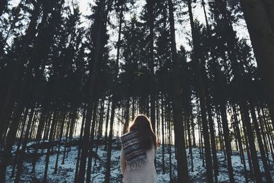 Low angle view of trees