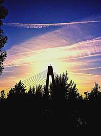 Silhouette trees against sky at sunset