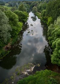 High angle view of river amidst trees in forest