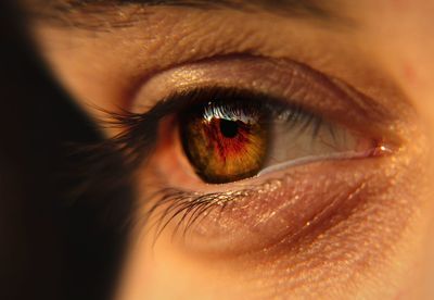 Close-up of human eye