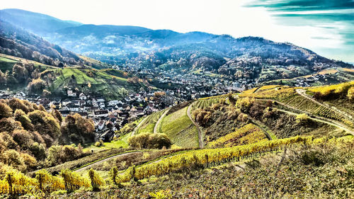 Aerial view of landscape