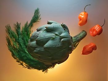 Close-up of tomatoes against white background