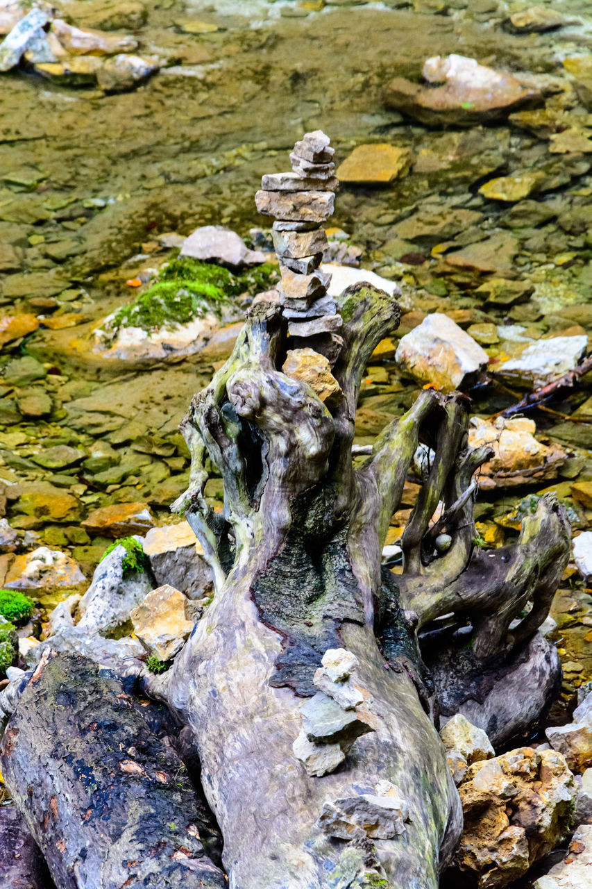 HIGH ANGLE VIEW OF MOSS GROWING ON ROCKS BY LAKE