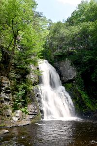 Scenic view of waterfall in forest